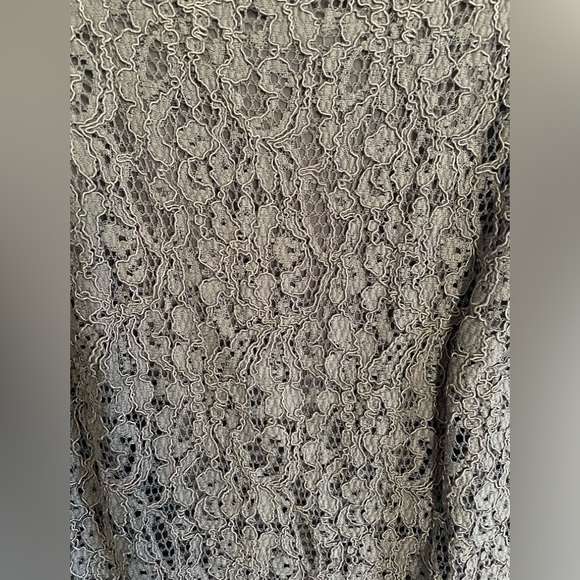 Adrianna Papell lace dress Live from the ared Carpet - Picture 8 of 8